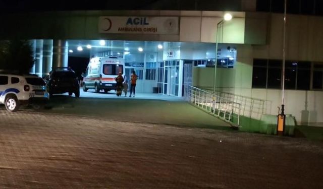 Bingöl’de trafik kazası: 8 yaralı
