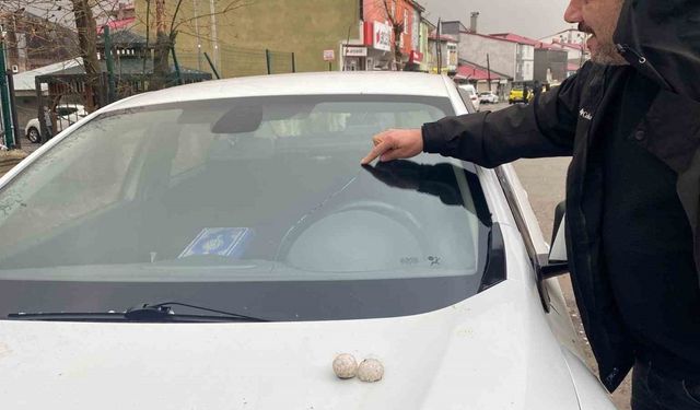 Bingöl’ü dolu vurdu, gün geceye döndü, araçların camları kırıldı