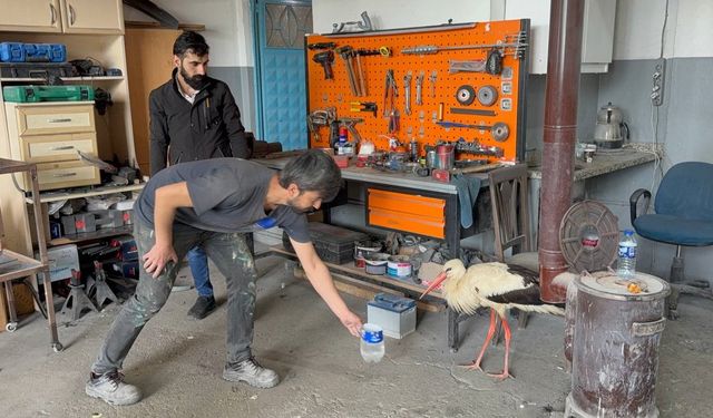 Bitkin haldeki leyleğe oto kaporta ustası sahip çıktı