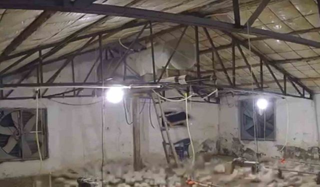 Bolu’da kümese girmeye çalışan ayı kamerada
