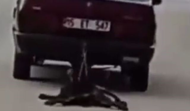 Burdur’da köpeği aracının arkasında sürükleyen şahıs tutuklandı