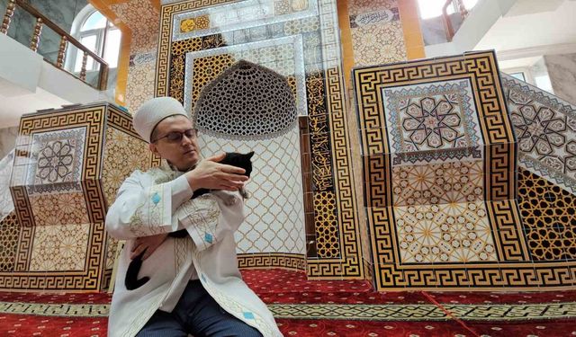 Camideki sadakat; kedisi Lola imamla beş vakit camiye geliyor