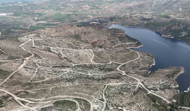 Çanakkale’de yanan ormanlar yangına dayanıklı fidanlarla yeniden yeşerdi