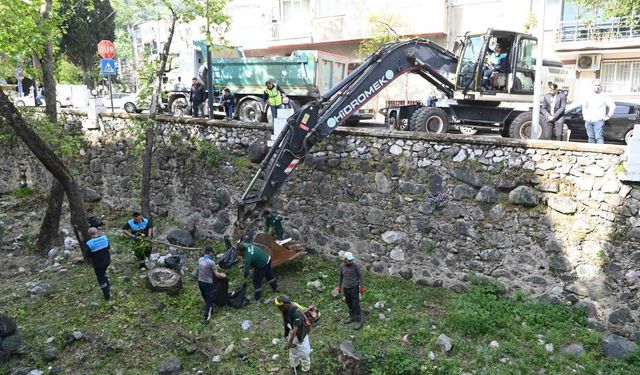Çaybaşı Deresi hem temizlendi hem de yeni fidanlar dikildi