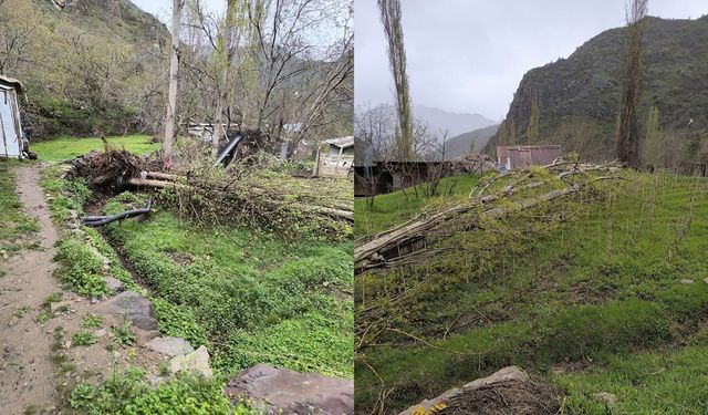 Çukurca’da şiddetli fırtına ağaçları devirdi