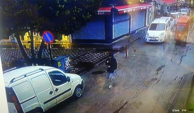 Devrilen çam ağacının altında kalmaktan kıl payı kurtuldular