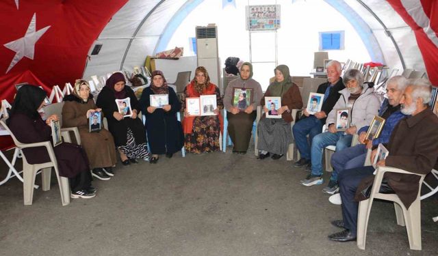 Diyarbakır anneleri eylemlerine Ankara’da devam etmeyi planlıyor