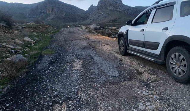 Diyarbakır’da vatandaştan DEM Partili Lice Belediyesine yol tepkisi
