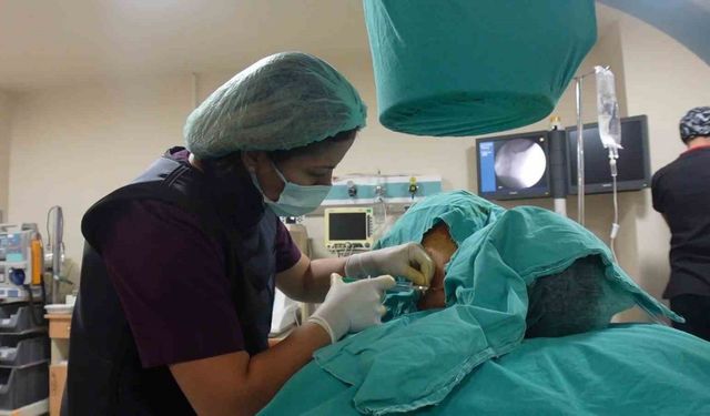 Doç. Dr. Sibel Özcan: ’’Kronik ağrı çözümsüz değildir’’