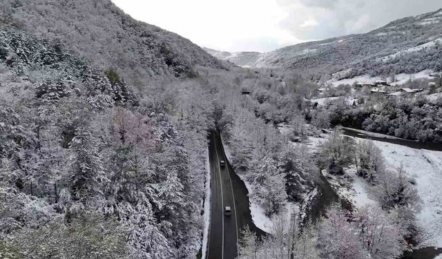 Doğal ağaç tünelli yol, kar manzaralarıyla mest etti