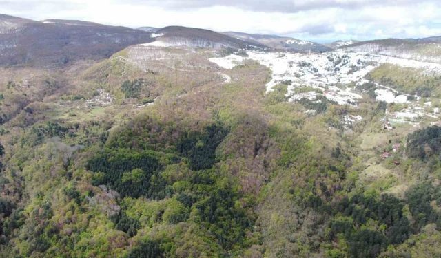 Dört mevsim tek karede: Ziyaretçilerini hayran bırakıyor