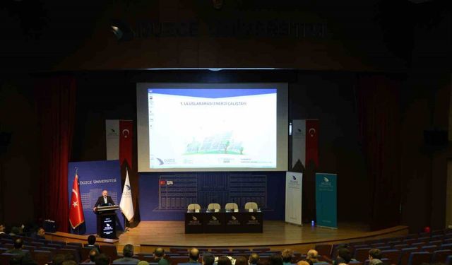 Düzce Üniversitesi’nde enerji çalıştayı