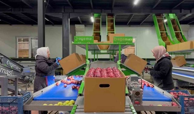 Eğirdir’de elma bahçelerine organik dokunuş, kimyasal yerine hümik asit projesi hayata geçiyor
