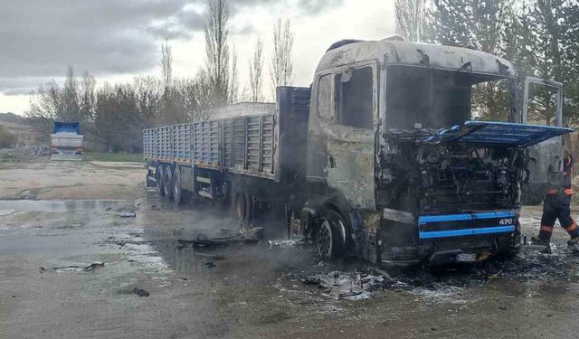 Ekmek kapısı alev alev yandı, sürücünün feryadı yürekleri sızlattı