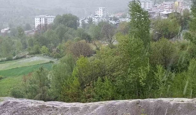 Elazığ’da dolu yağışı etkili oldu