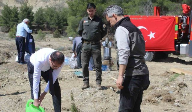 Emekli öğretmenler doğa için kolları sıvadı, onlarca fidan dikti