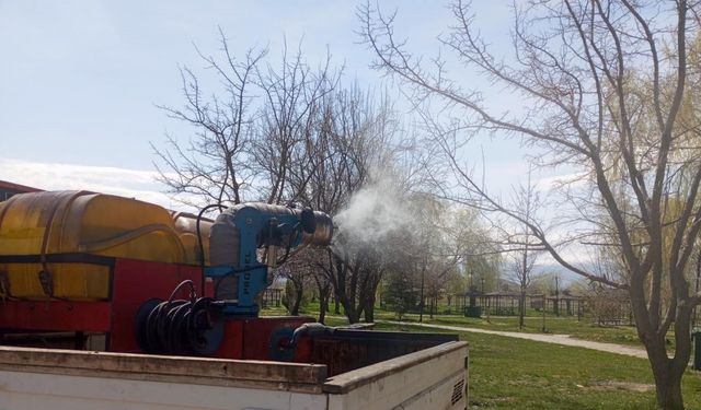 Erzincan’da larva ilaçlaması devam ediyor