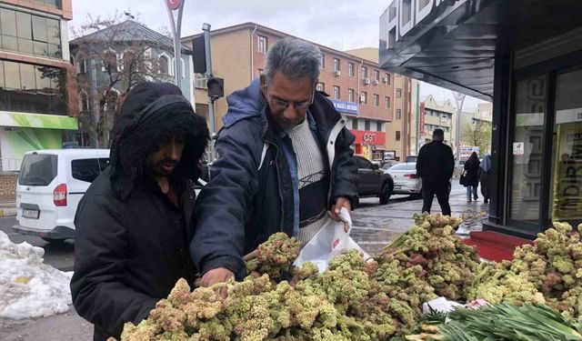 Erzincan’da ‘yayla muzunun’ destesi 100 ila 300 TL’den satışta