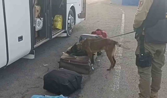 Erzurum’da narko operasyon