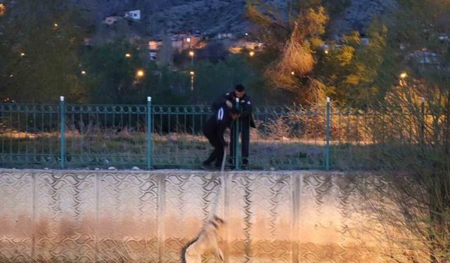 Erzurum’da sokak köpeğine kurtarma operasyonu