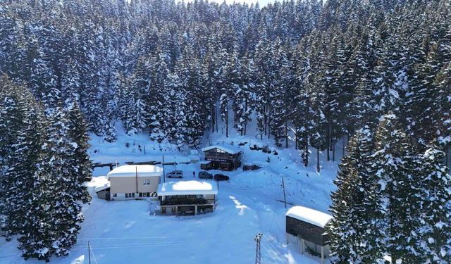 Giresun yaylaları nisan ayında beyaza büründü