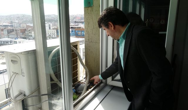 Güvercinler için klimasını kapattı