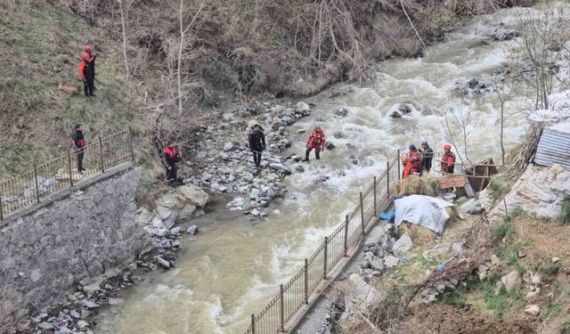 Hakkari’de 130 kişilik ekiple kayıp Feleknaz Keskin aranıyor