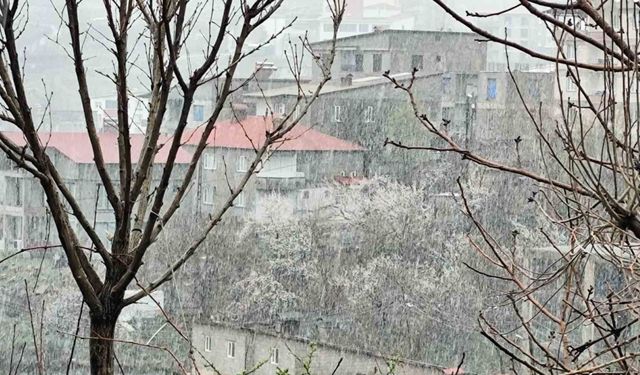 Hakkari’de Nisan ayında kar yağışı etkili oldu