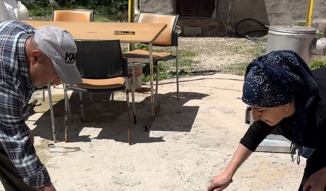 Hakkarili aile iki yıldır yılanlarla yaşıyor