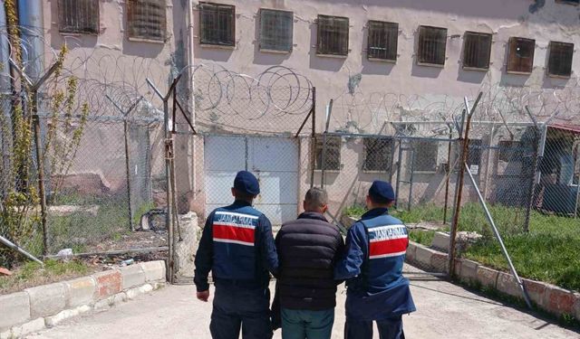 Hapis cezasıyla aranan şahıs jandarma tarafından yakalandı