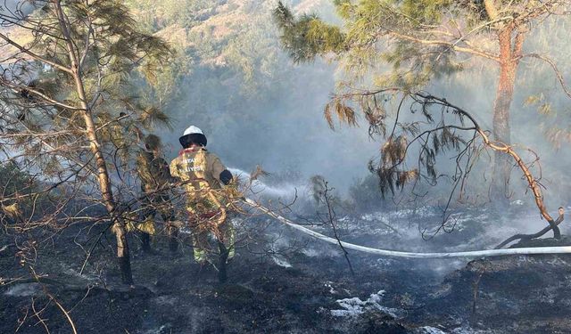 Hatay’da orman yangını