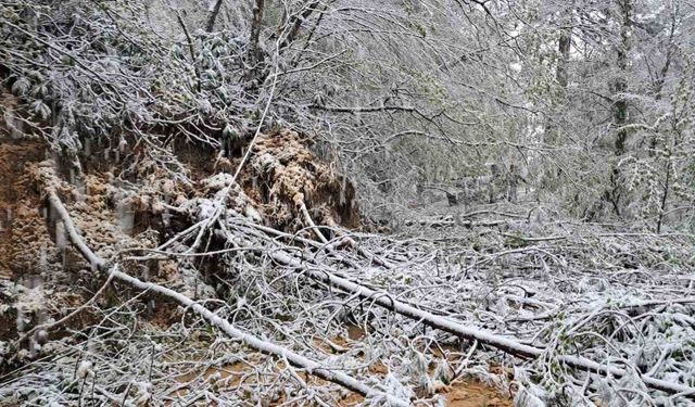 Heyelandan kapanan yol yeniden ulaşıma açıldı