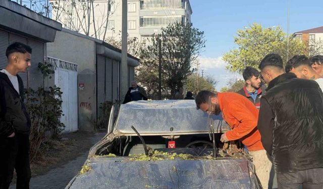 Iğdır’da seyir halindeki aracın üzerine ağaç devrildi, sürücü yaralandı