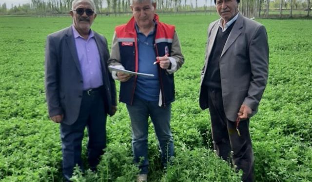 Iğdır’da yem kontrolleri devam ediyor