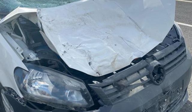 İneğe çarpan otomobilin sürücüsü hayatını kaybetti