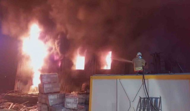 İşçilerin kaldığı konteyner yatakhane alevlere teslim oldu