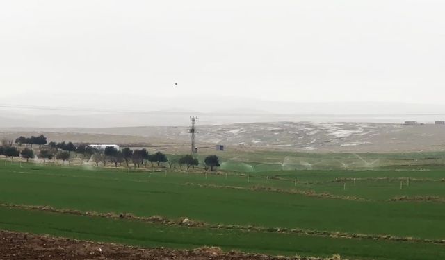 Kaçak elektrikle sulama yağmur yağarken de devam etti