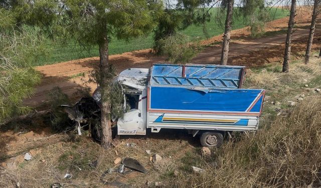 Kamyonet ağaca çarptı, sürücü yaralandı