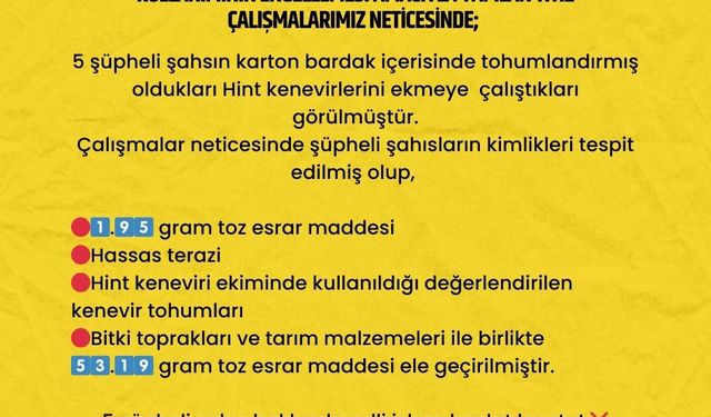 Karton bardağa yerleştirdikleri uyuşturucu tohumlarını ekmeye çalıştılar