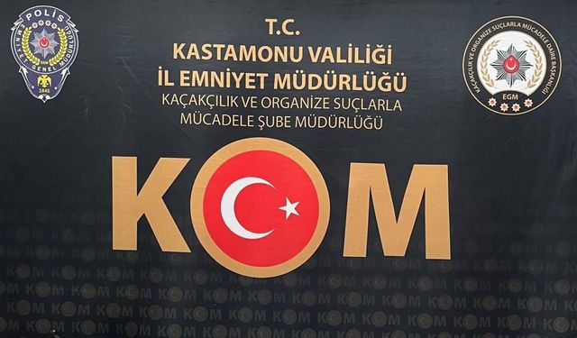 Kastamonu’da silah operasyonu: 4 gözaltı