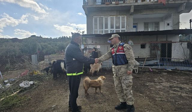 Kilis’te kayıp 26 küçükbaş hayvan ormanlık alanda bulundu