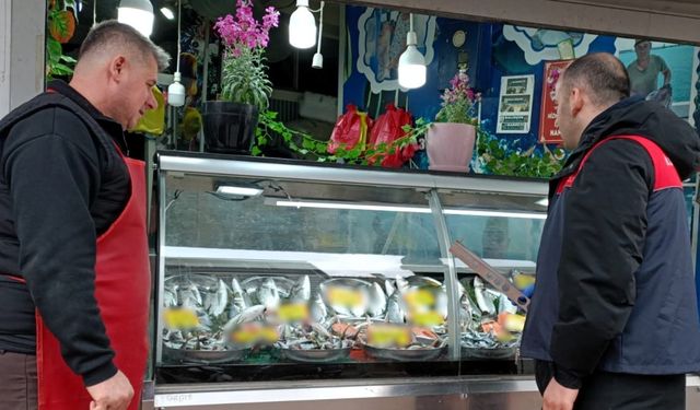 Kırklareli’nde balıkçılar denetlendi