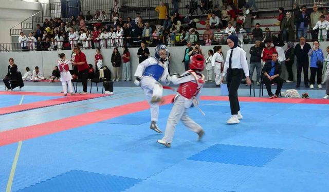 Kütahya’da Minikler Taekwondo Yarışmaları ilgi gördü