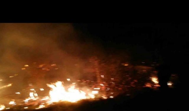Malatya’da sazlık yangını