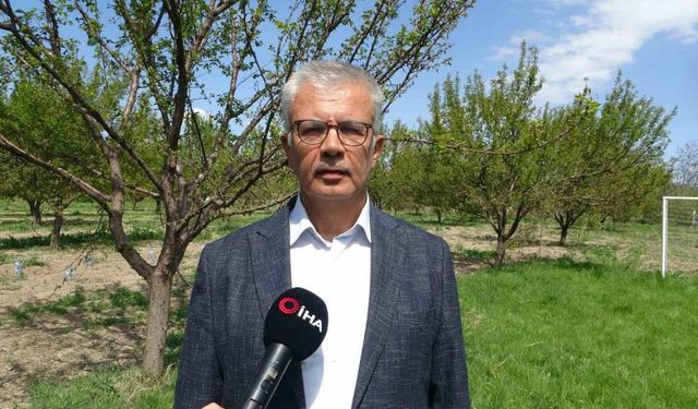 Malatya’da yüzyılın en büyük zirai ürün kaybı