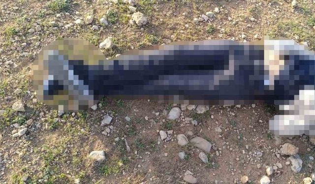 Mardin’de 1 kişi silahla vurulmuş halde bulundu
