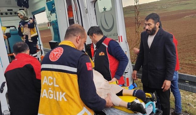 Mardin’de kamyonet tarlaya devrildi: 3 yaralı