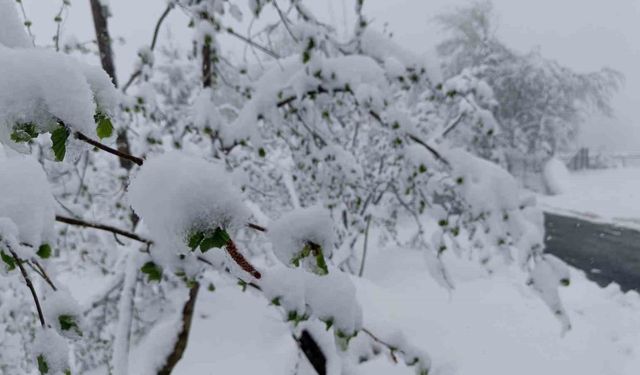 Meteorolojiden Ordu için ’sarı kodlu’ uyarı