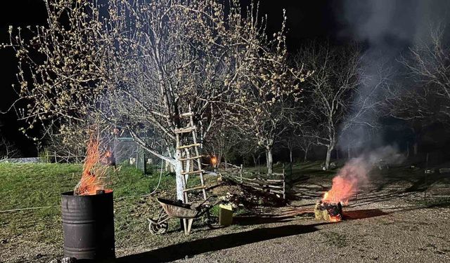 Meyve ağaçlarını zirai dona karşı ateş yakarak koruyor