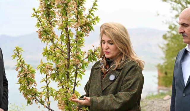 Milletvekili Ölmeztoprak: "Yaraları hep birlikte saracağız"